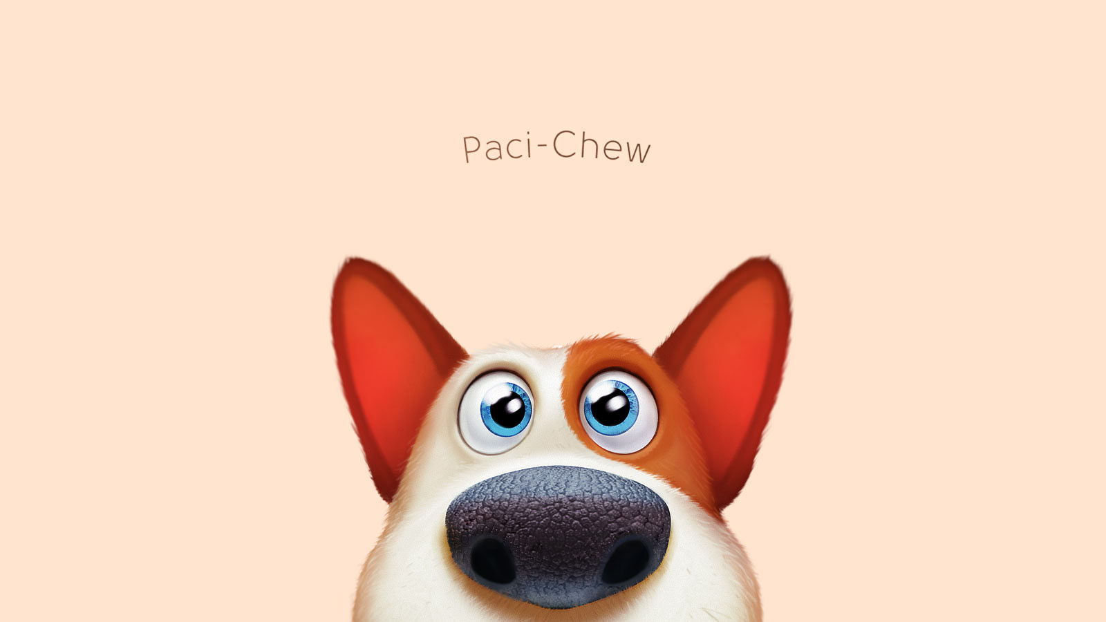 寵物磨牙棒包裝設(shè)計(jì)