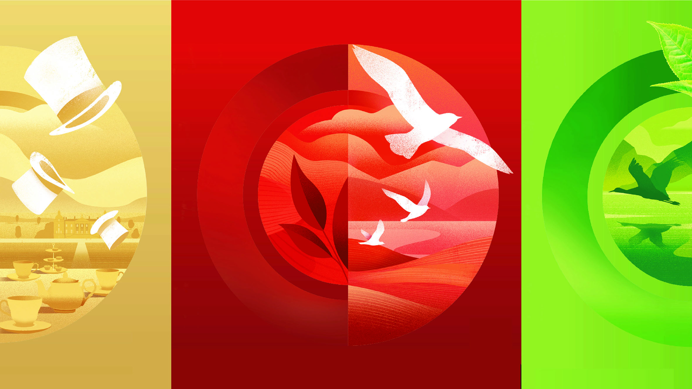 包裝設(shè)計(jì)分享日課｜TWINING Tea 新升級茶葉包裝設(shè)計(jì)