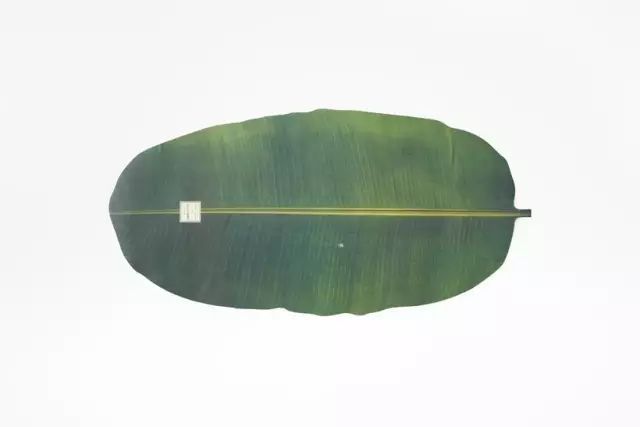 1555900637585141.jpg 52de08ce6ec24136a18031edaab651af.jpg