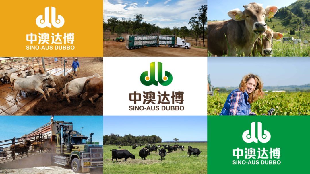 1577163901383772.jpeg 1577163901383772.jpeg