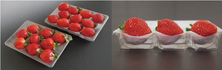 1606787718278746.png 1606787718278746.png