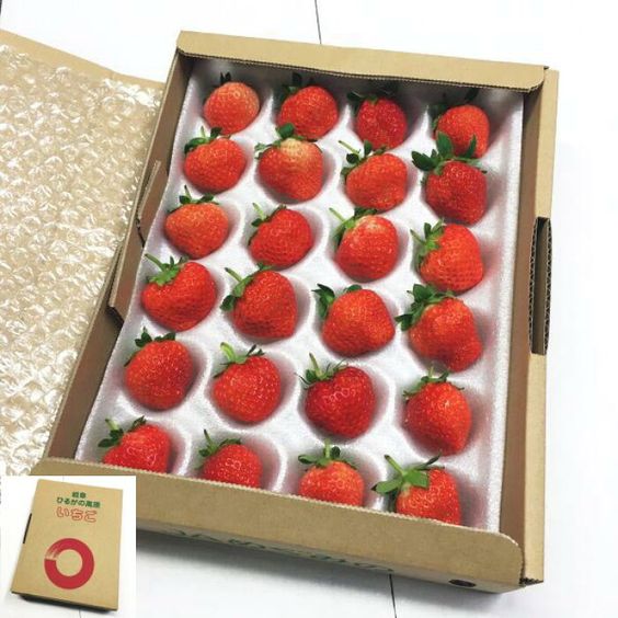 1606787719580576.jpg 1606787719580576.jpg