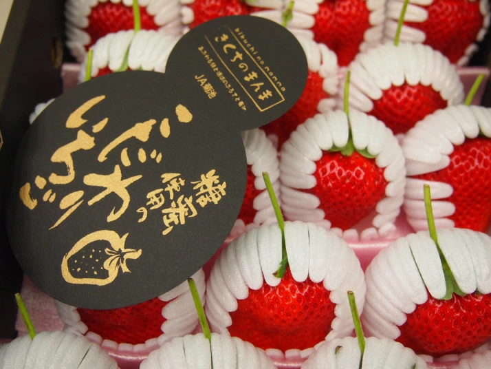 1606787723434675.png 1606787723434675.png