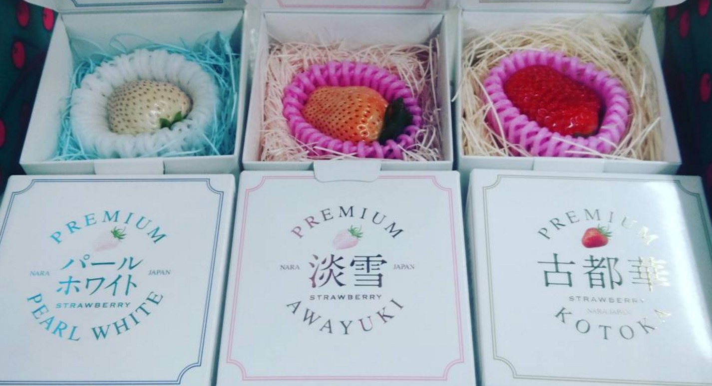 1606787726842077.png 1606787726842077.png