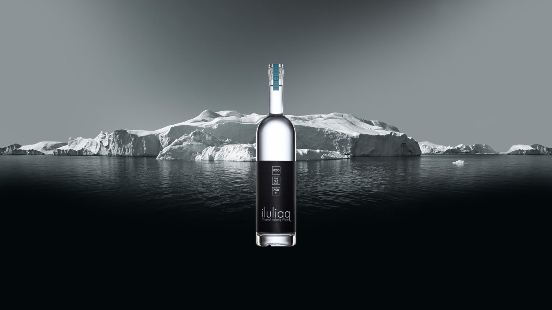 1636432140398550.jpg 1636432140398550.jpg