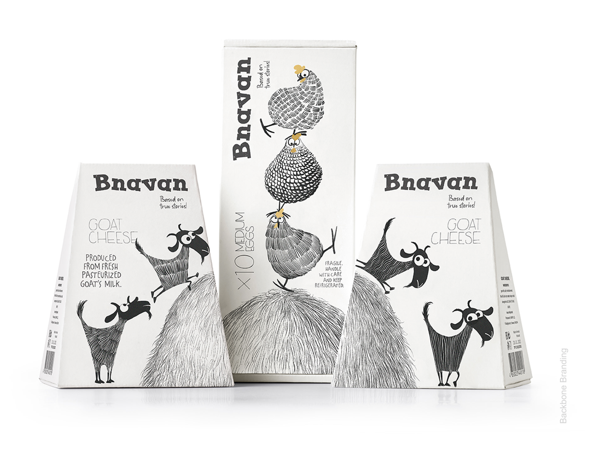 雞蛋包裝設計 雞蛋包裝設計