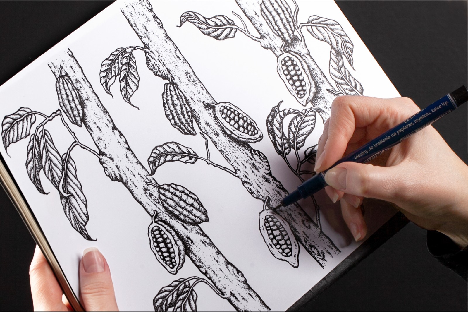 禮盒插畫包裝設計