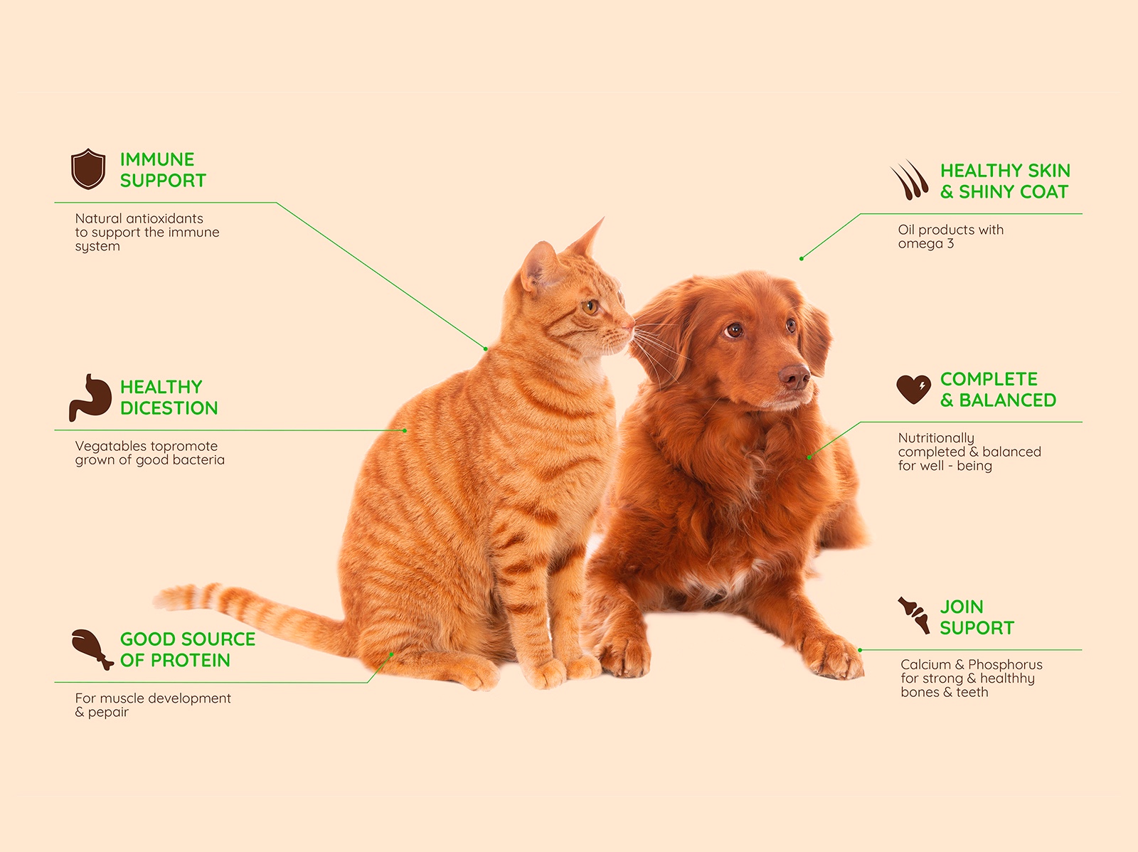 狗糧包裝設(shè)計 狗糧包裝設(shè)計