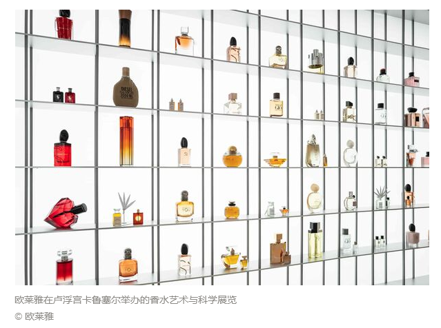 1709607741674576.png image.png