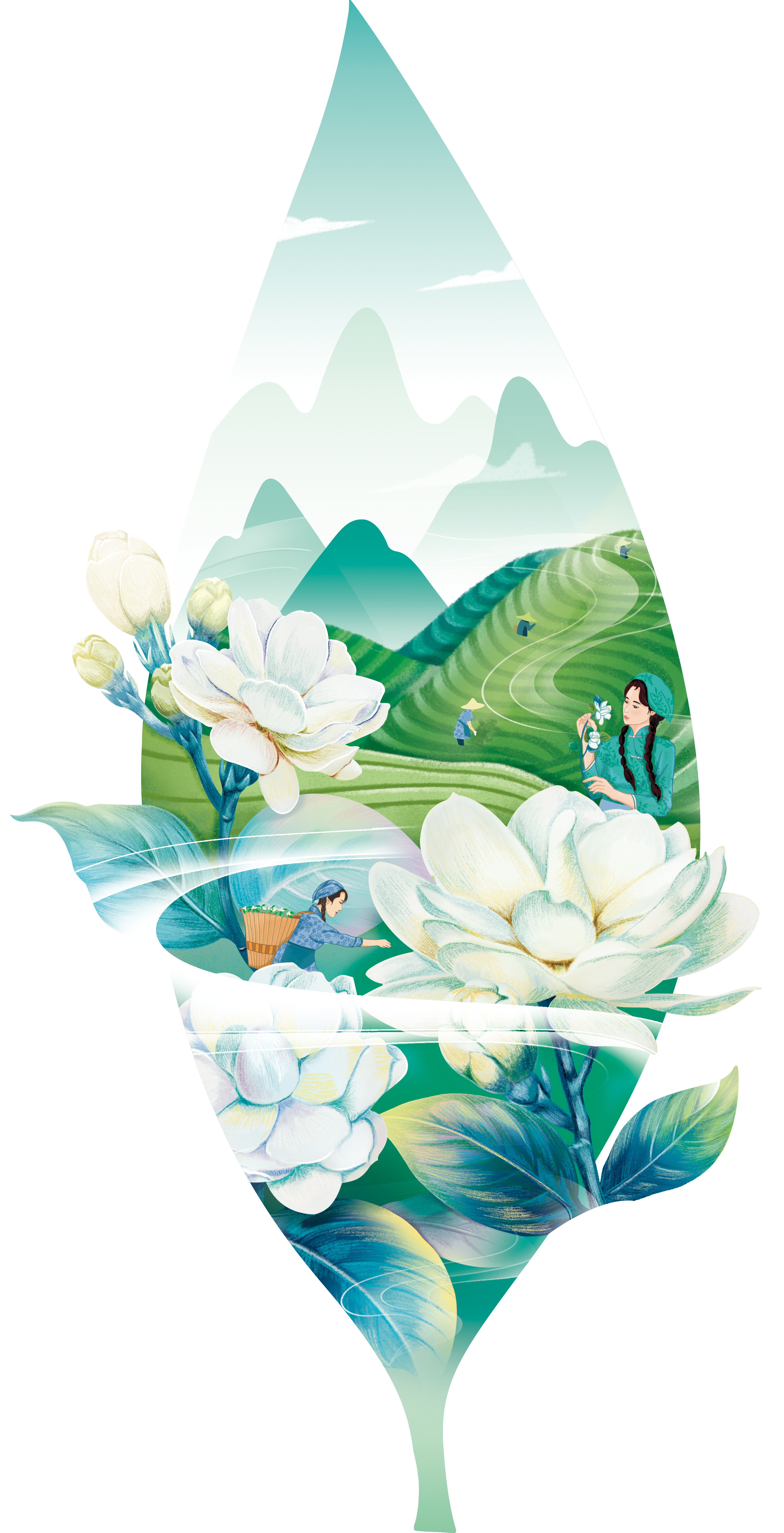 北京包裝設(shè)計公司吳裕泰插畫設(shè)計