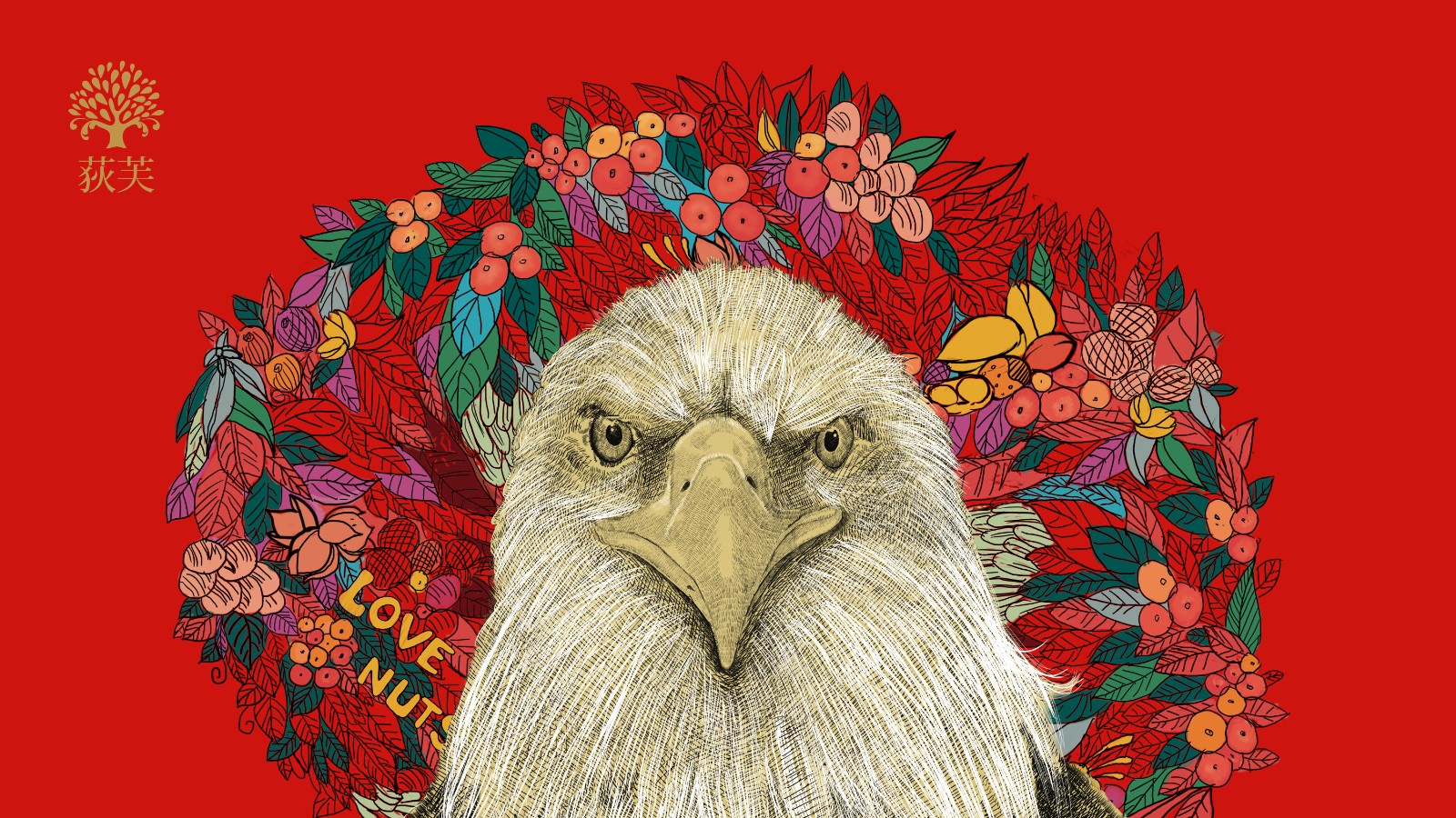 堅(jiān)果插畫設(shè)計(jì) 堅(jiān)果插畫設(shè)計(jì)