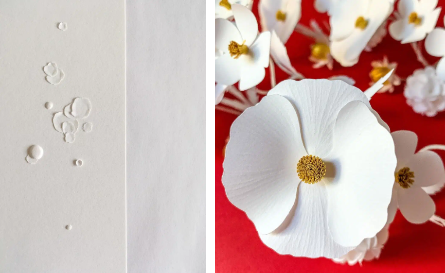 1729653242242258.png image.png